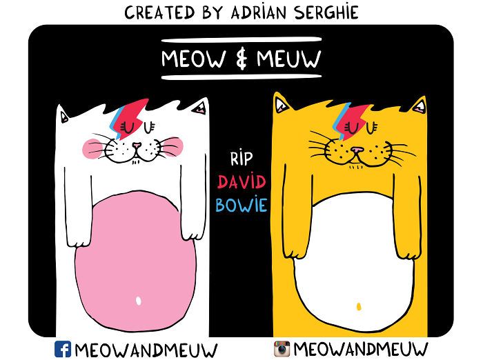 Artists From All Over The World Pay Tribute To The Late, Great David Bowie (30 pics)