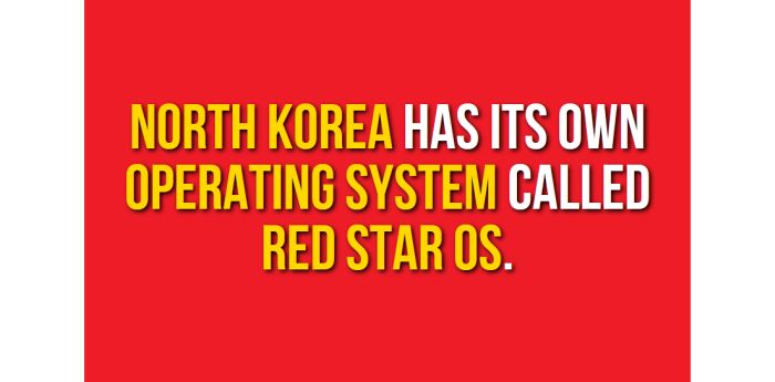 Strange But True Facts About North Korea (27 pics)