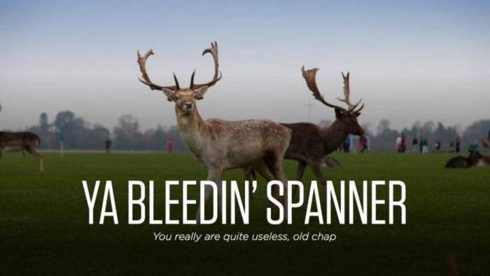 The Real Meanings Behind Popular Irish Phrases (17 pics)