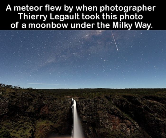 Strange, Bizarre And Entertaining Facts For Your Brain (19 pics)