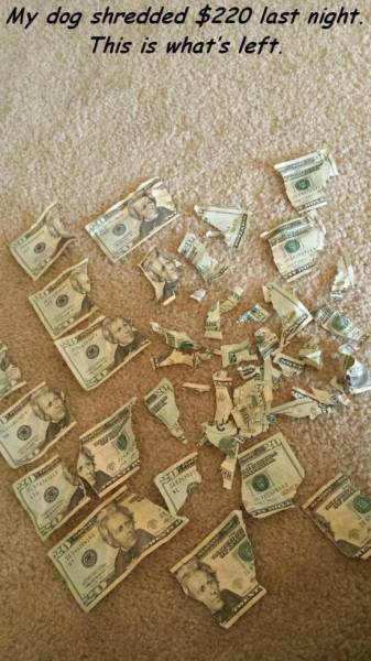 You Know It's Going To A Bad Day When It Starts Out Like This (43 pics)