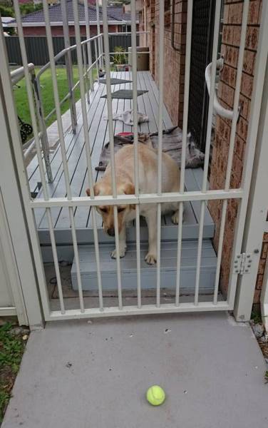 You Know It's Going To A Bad Day When It Starts Out Like This (43 pics)