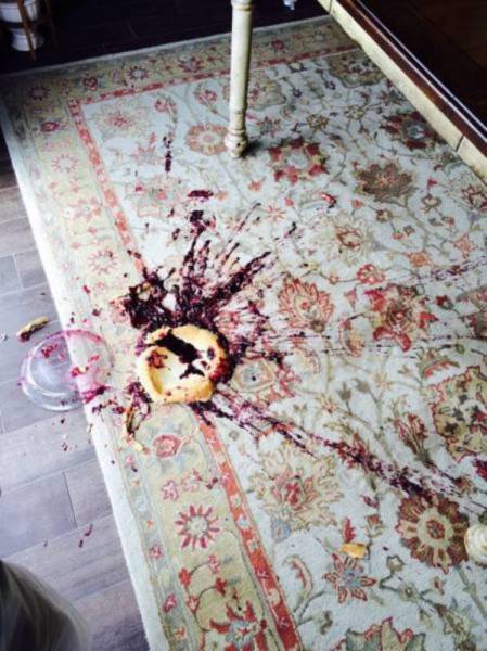 You Know It's Going To A Bad Day When It Starts Out Like This (43 pics)