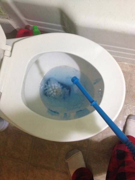 You Know It's Going To A Bad Day When It Starts Out Like This (43 pics)
