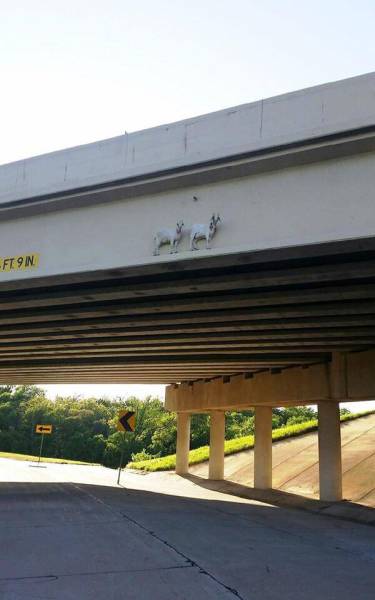 Even The Most Boring Commutes Have Their Awkward Moments (42 pics)