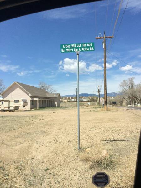 Even The Most Boring Commutes Have Their Awkward Moments (42 pics)
