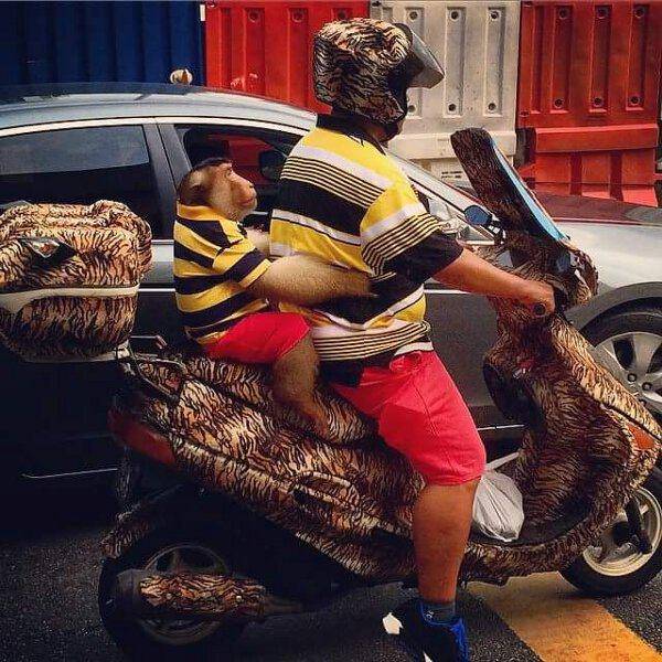 Even The Most Boring Commutes Have Their Awkward Moments (42 pics)