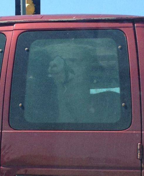 Even The Most Boring Commutes Have Their Awkward Moments (42 pics)