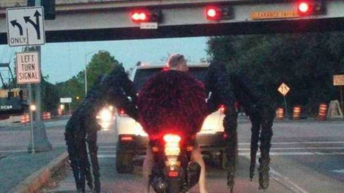 Even The Most Boring Commutes Have Their Awkward Moments (42 pics)