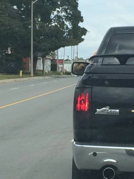 Even The Most Boring Commutes Have Their Awkward Moments (42 pics)