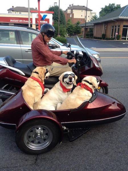 Even The Most Boring Commutes Have Their Awkward Moments (42 pics)
