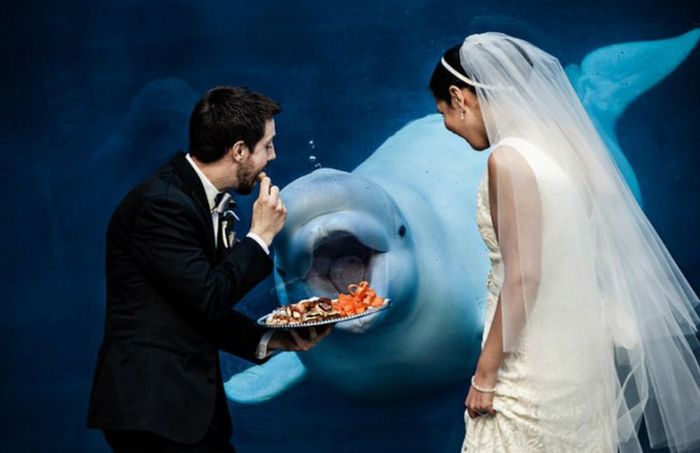 Funny Couples That Took Their Wedding Photos To The Next Level (20 pics)
