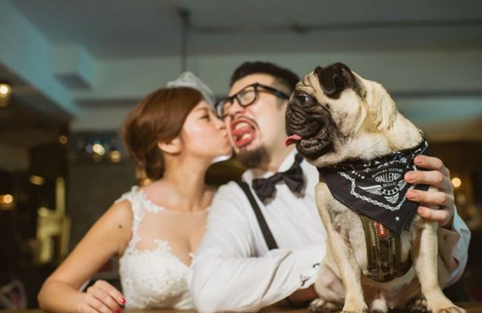 Funny Couples That Took Their Wedding Photos To The Next Level (20 pics)