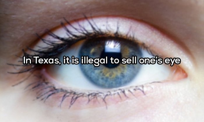 Crazy Laws You Won't Believe Still Exist In The United States (20 pics)