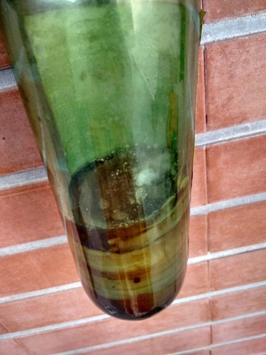 An Old Liquor Bottle Transformed Into Something Weird (7 pics)