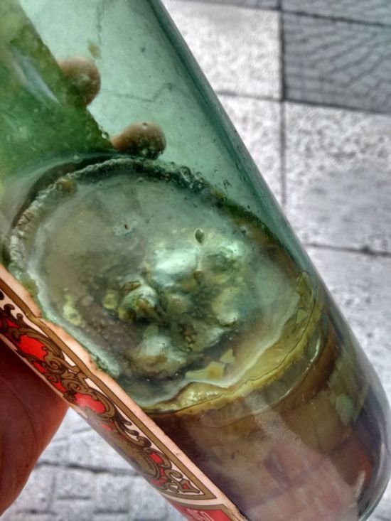 An Old Liquor Bottle Transformed Into Something Weird (7 pics)