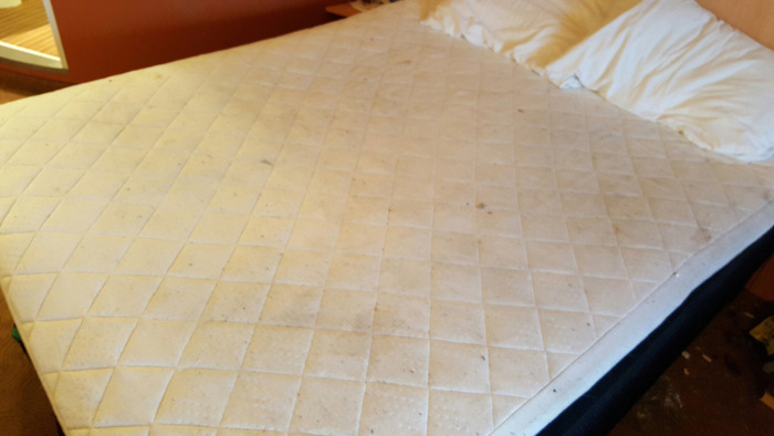 Homeless Couple Trashes A Hotel Room That Was Paid For By A Generous Woman (5 pics)