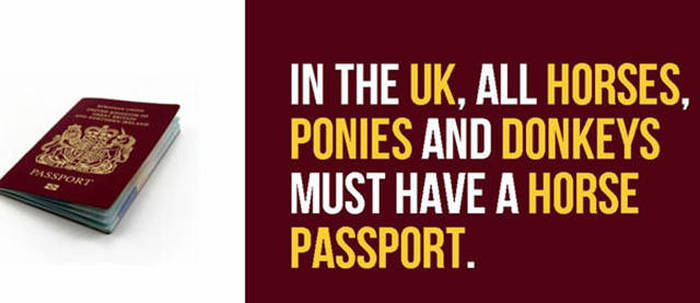 Interesting Information About The UK That Might Surprise You (31 pics)