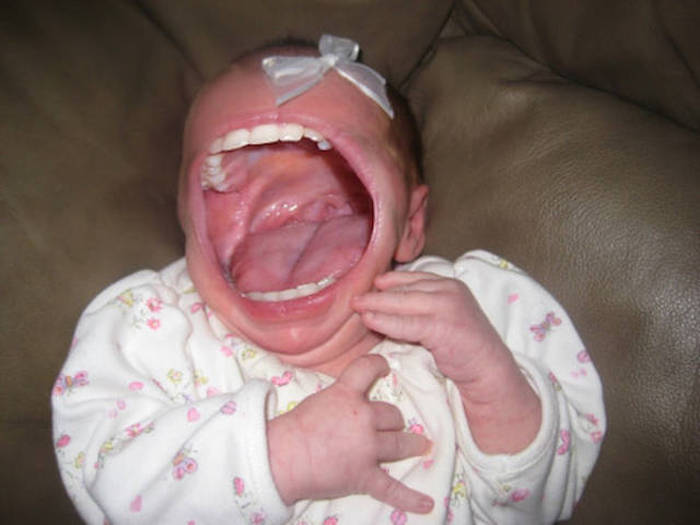 These Pictures Are Just Too Bizarre For Words (43 pics)