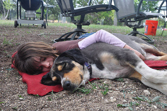 In Honor Of All The Loyal Dogs Around The World (22 pics)