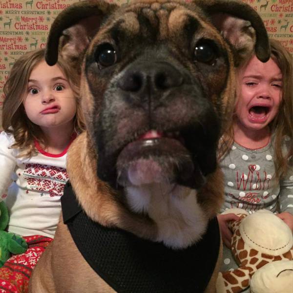 In Honor Of All The Loyal Dogs Around The World (22 pics)