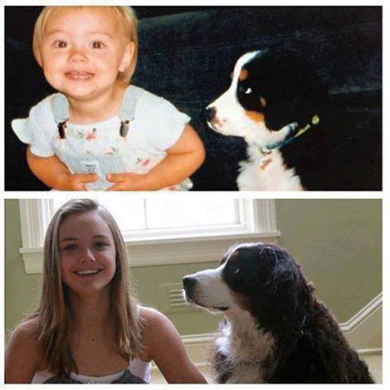 In Honor Of All The Loyal Dogs Around The World (22 pics)