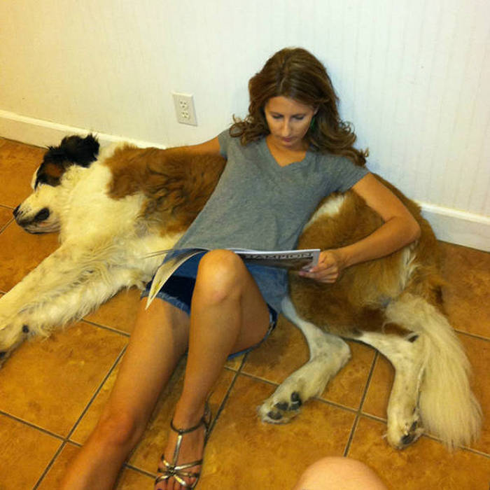 In Honor Of All The Loyal Dogs Around The World (22 pics)