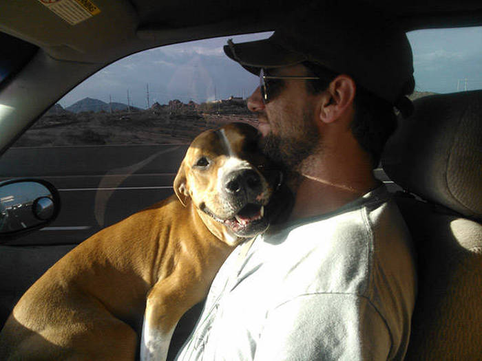 In Honor Of All The Loyal Dogs Around The World (22 pics)