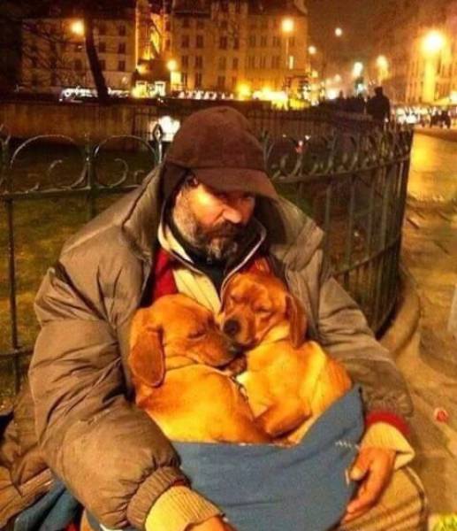 In Honor Of All The Loyal Dogs Around The World (22 pics)