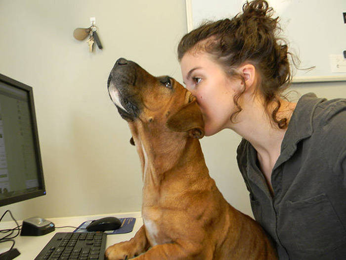 In Honor Of All The Loyal Dogs Around The World (22 pics)