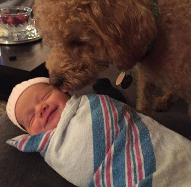 In Honor Of All The Loyal Dogs Around The World (22 pics)