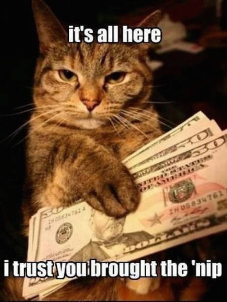 Amusing Memes To Make Your Day A Little Funnier (42 pics)