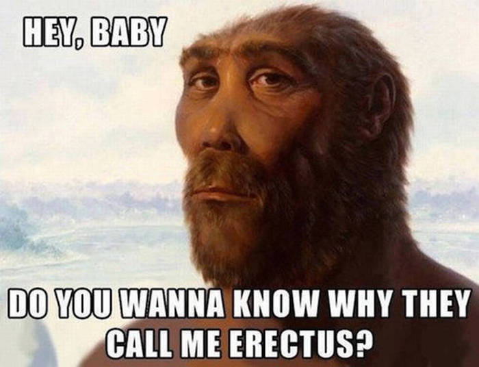 Amusing Memes To Make Your Day A Little Funnier (42 pics)