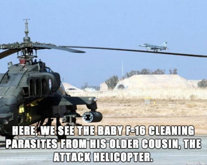 Amusing Memes To Make Your Day A Little Funnier (42 pics)