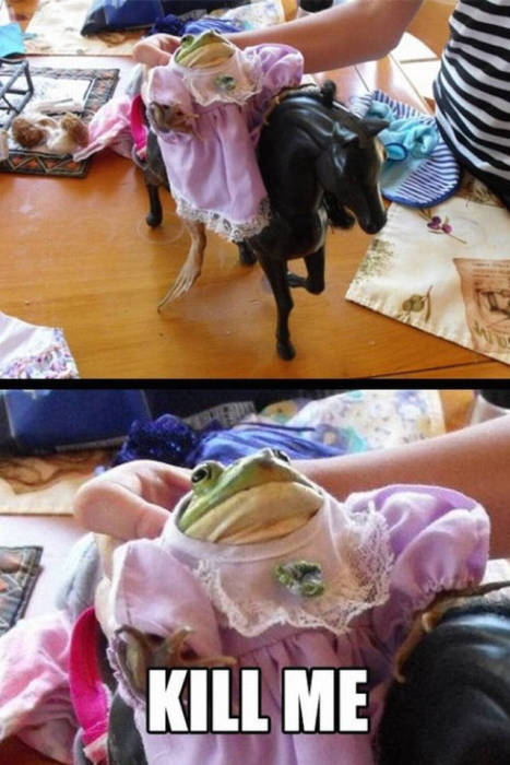 Amusing Memes To Make Your Day A Little Funnier (42 pics)