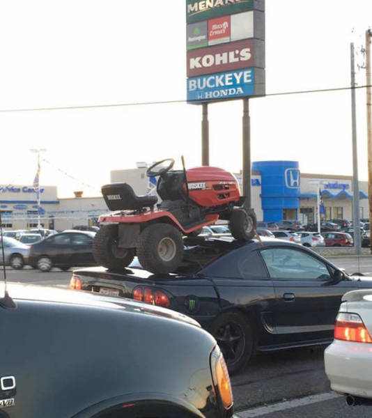 It's Amazing What You Can See While You're Commuting (30 pics)