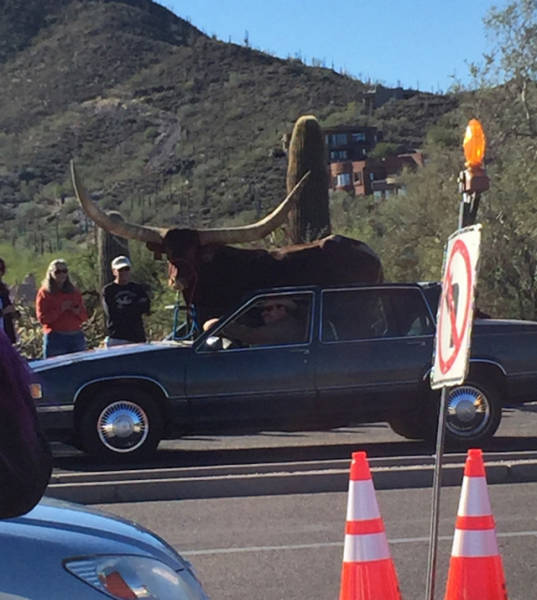 It's Amazing What You Can See While You're Commuting (30 pics)
