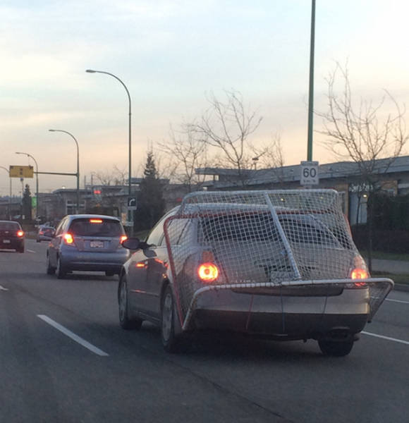 It's Amazing What You Can See While You're Commuting (30 pics)