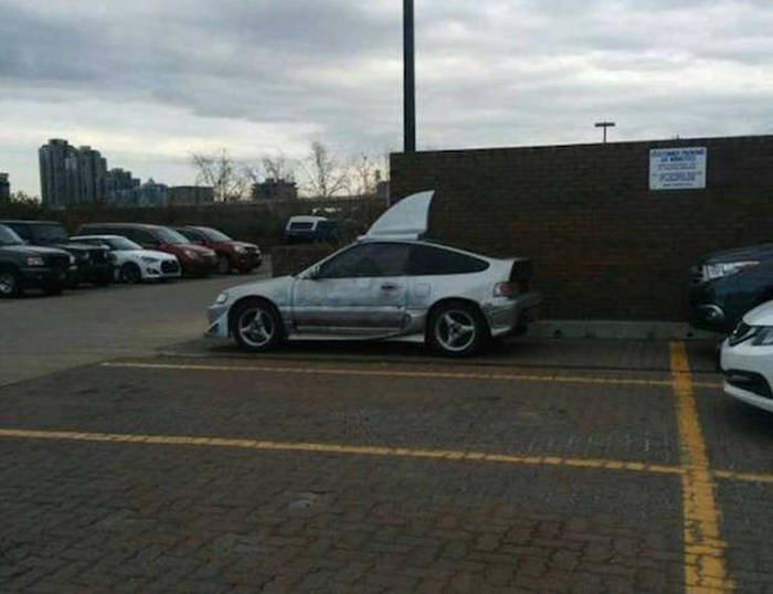 It's Amazing What You Can See While You're Commuting (30 pics)