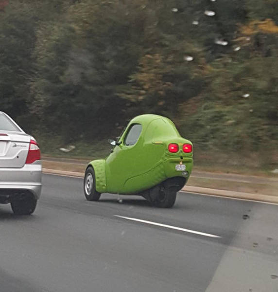 It's Amazing What You Can See While You're Commuting (30 pics)