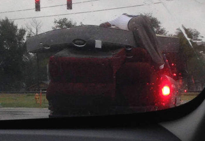 It's Amazing What You Can See While You're Commuting (30 pics)