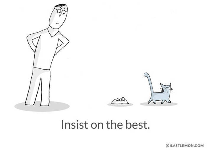 Important Life Lessons We Can All Learn From Cats (21 pics)