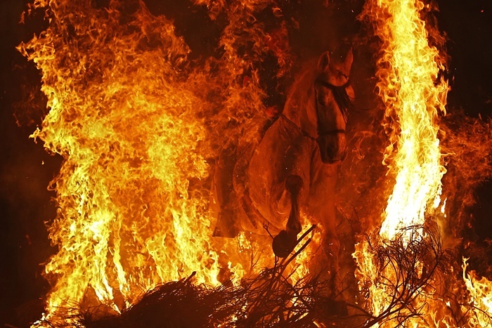Las Luminarias: a Spanish Festival Of Fire And Horses (12 pics)