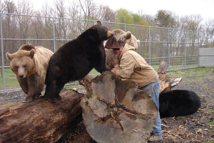 This Man Has Been Living With An Orphaned Bear For 20 Years (6 pics + video)