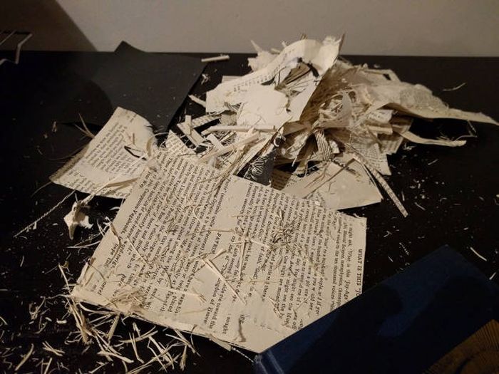 Guy Turns Old Book Into An Awesome Kindle Case (15 pics)