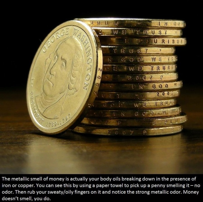It's Time To Educate Yourself With These Interesting Facts (21 pics)