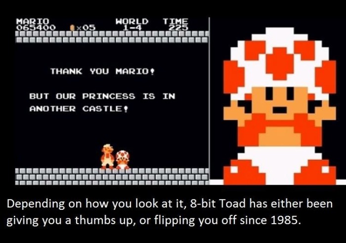 It's Time To Educate Yourself With These Interesting Facts (21 pics)