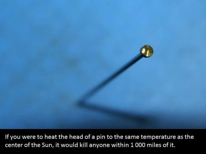 It's Time To Educate Yourself With These Interesting Facts (21 pics)