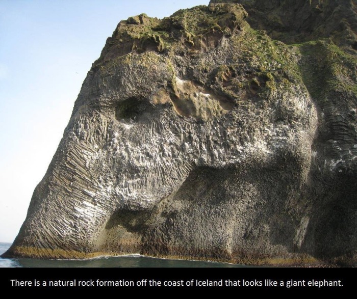 It's Time To Educate Yourself With These Interesting Facts (21 pics)