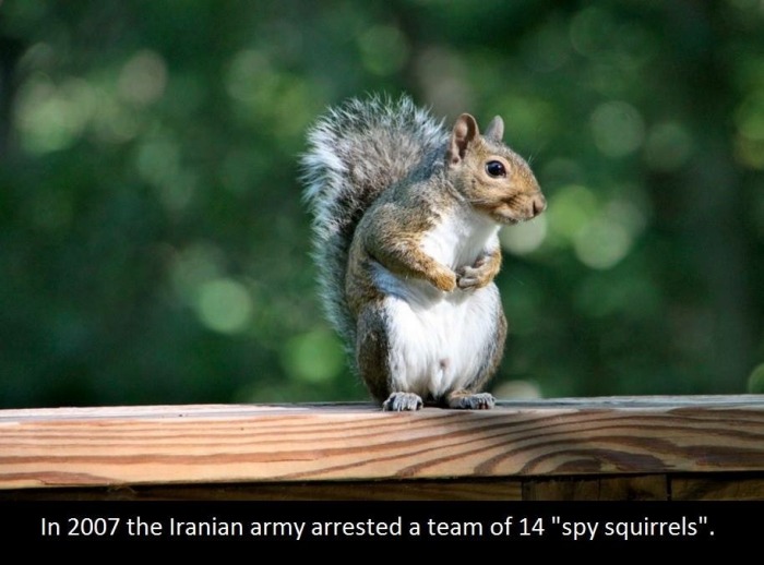 It's Time To Educate Yourself With These Interesting Facts (21 pics)